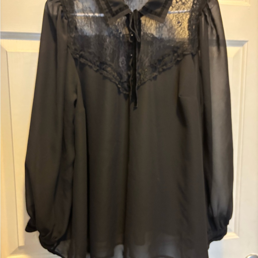 Torrid Black Sheer Lace Blouse